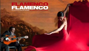 afiche flamenco flamenco